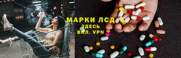 эйфоретик Аркадак